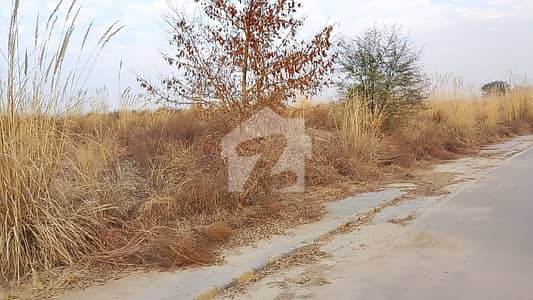 A Block 7m Develop Possision Plot Available For Sale Gulberg Residencia