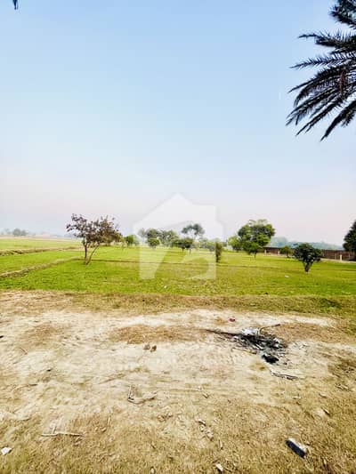 2 Kanal Plot Thather Farm Bedia Road Lahore