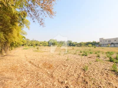 Looking For A Residential Plot In Lahore