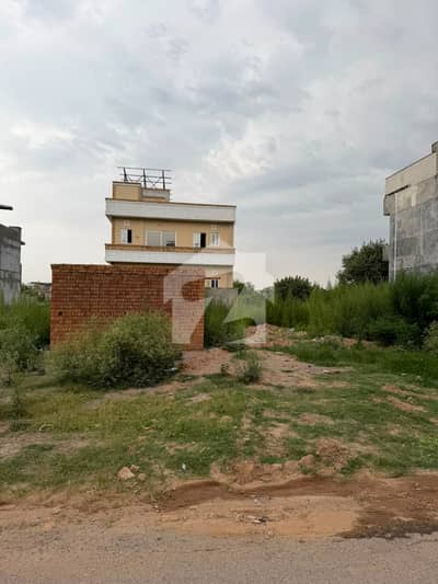 Prime Residential Plot for Sale D-12/4 |