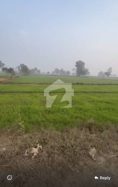 بیدیاں روڈ لاہور میں 40 کنال زرعی زمین 6.25 کروڑ میں برائے فروخت۔