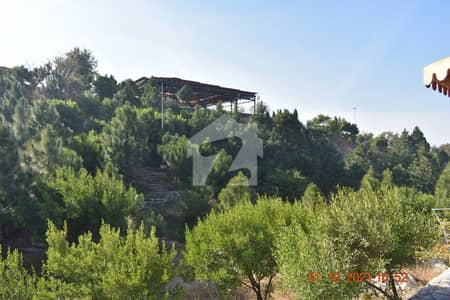 1 Kanal Residential Plot For Sale ECHS D-18, Block G
