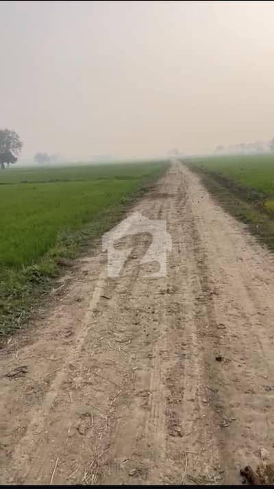 بیدیاں روڈ لاہور میں 80 کنال زرعی زمین 7.0 کروڑ میں برائے فروخت۔