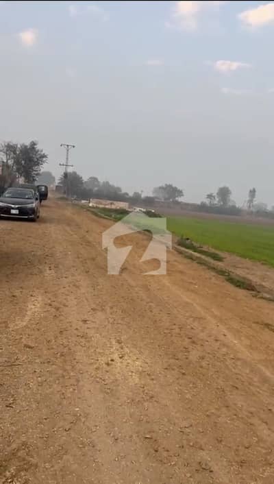 بیدیاں روڈ لاہور میں 240 کنال زرعی زمین 67.5 کروڑ میں برائے فروخت۔