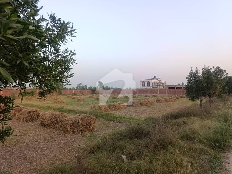 4 Kanal Plot Main Lakhoki Bedian Road 4 Kanal Plot Main Lakhoki Bedian Road