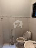 7 7