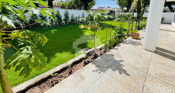 Offering A 1000 Sq Spacious Ground Portion Available For Rent