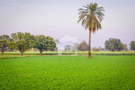 4 Acer Fully Agriculture Land For Farming & Farmhouse at Near By Pass Samundri Road Faisalabad