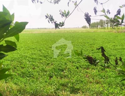 جڑانوالہ روڈ فیصل آباد میں 384 کنال زرعی زمین 26.4 کروڑ میں برائے فروخت۔