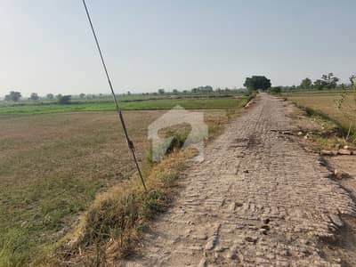 جاتی عمرہ روڈ لاہور میں 34 کنال زرعی زمین 24.0 کروڑ میں برائے فروخت۔
