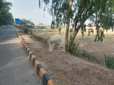 جاتی عمرہ روڈ لاہور میں 11 کنال زرعی زمین 24.0 کروڑ میں برائے فروخت۔
