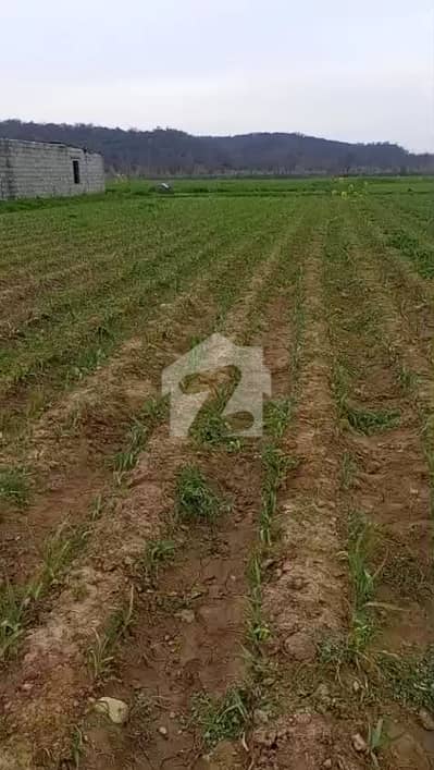 Domeli Agricultural Farm For Sale
