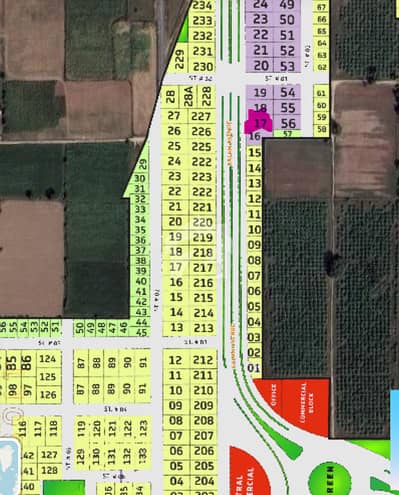 SOLID GROUND PLOT