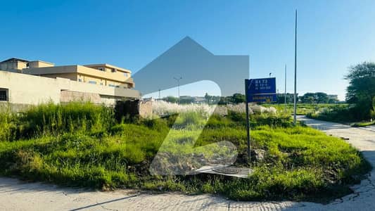 MAIN DOUBLE ROAD PLOT AT REASONABLE PRICE