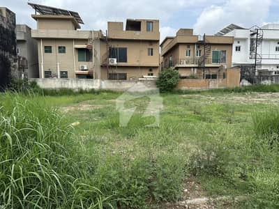 10 MARLA LEVEL FRONT OPEN PLOT