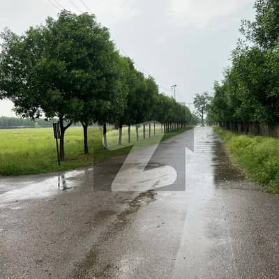 5 Kanal Corner Farmhouse Plot For Sale in Paradise Farm Barki Road