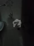 8 8