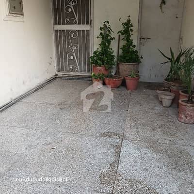 2 Beds Drawing House For Rent