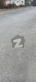 6 6