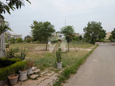 Corner Plot For Sale In DHA Phase 2