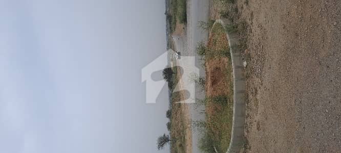 Hot Deal! 14 Marla Street Corner Plot For Sale