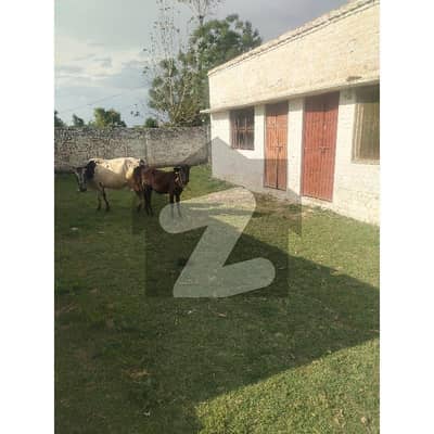 Farm House Available For Sale