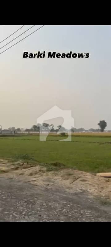 Residential Farmhouse Plot For sale Is Readily Available In Prime Location Of Barki Meadows