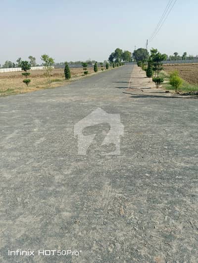 Residential Farmhouse Plot For sale Is Readily Available In Prime Location Of Barki Meadows