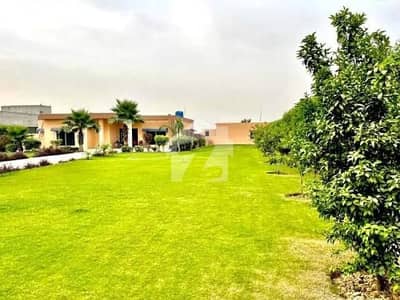 برکی روڈ کینٹ,لاہور میں 12 کنال پلاٹ فارم 6.0 کروڑ میں برائے فروخت۔