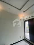 4 4