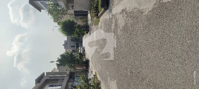 7 Marla Plot For Sale On Prime Location Of Al Kabir Town