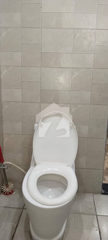 5 5