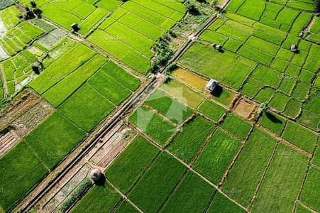 ڈی ایچ اے فیز 10 ڈیفنس (ڈی ایچ اے),لاہور میں 8 مرلہ پلاٹ فائل 44.5 لاکھ میں برائے فروخت۔ ڈی ایچ اے فیز 10 ڈیفنس (ڈی ایچ اے),لاہور میں 8 مرلہ پلاٹ فائل 44.5 لاکھ میں برائے فروخت۔