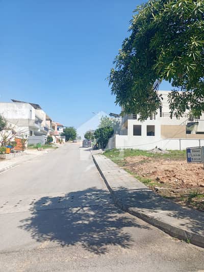 14 Marla Solid Plot For Sale In Sector A