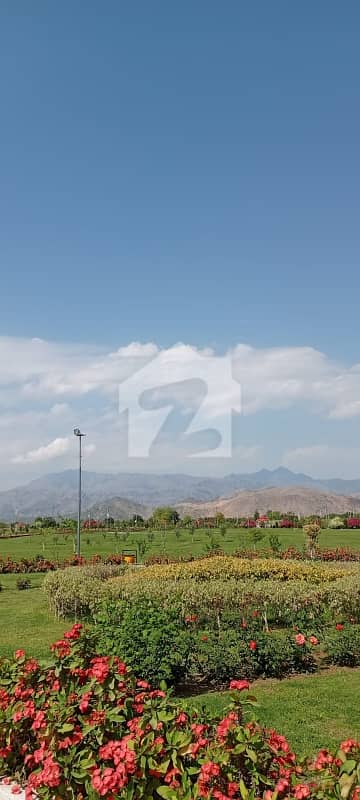 1 Kanal Plot South Open In Zone 1 At Sector C2 On 12 Meter Street For Sale 1 Kanal Plot South Open In Zone 1 At Sector C2 On 12 Meter Street For Sale