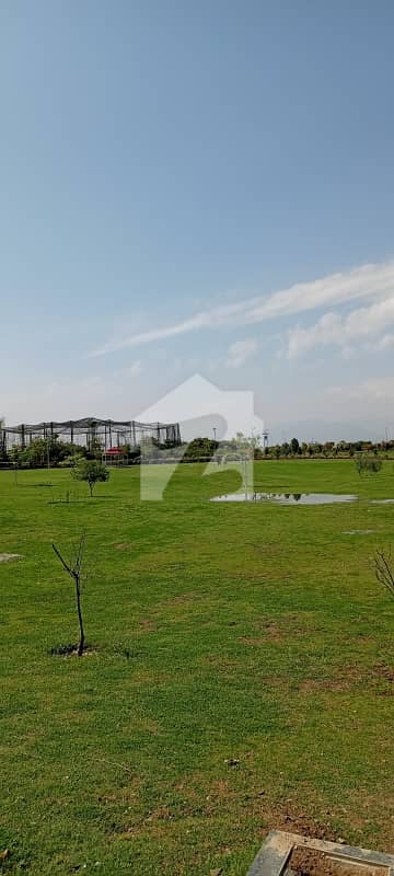 North Facing Kanal Plot On 12 Meter Street In Zone 3 At Sector A1 Available For Sale North Facing Kanal Plot On 12 Meter Street In Zone 3 At Sector A1 Available For Sale