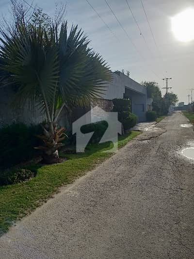 8 Kanal Farm House Plot For Sale In Thethar