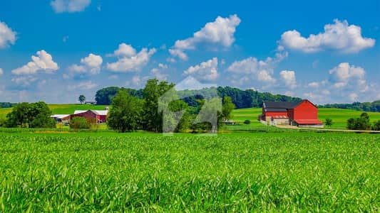 4 Kanal Plot For Sale In Sofia Farms, Bedian Road, Lahore