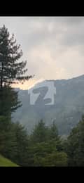 3 3