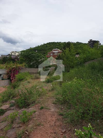 بنی گالہ اسلام آباد میں 2 کنال رہائشی پلاٹ 6.75 کروڑ میں برائے فروخت۔