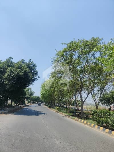 5 Marla Residential Plot Available for Sale 5 Marla Residential Plot Available for Sale