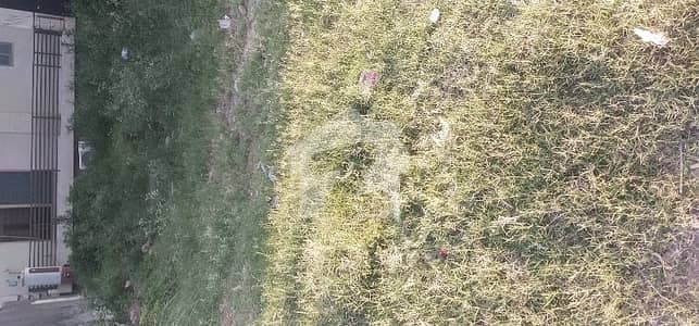 Rawalpindi Bahria Town Phase 8 5 Marla Plot Is Available For Sale
