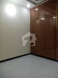 6 6