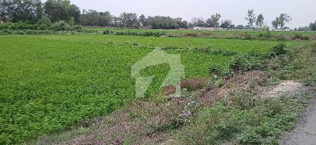 برکی روڈ کینٹ,لاہور میں 8 کنال زرعی زمین 1.4 کروڑ میں برائے فروخت۔
