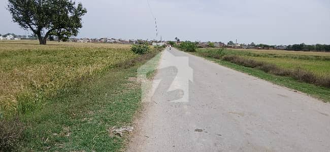 برکی روڈ کینٹ,لاہور میں 24 کنال زرعی زمین 4.5 کروڑ میں برائے فروخت۔