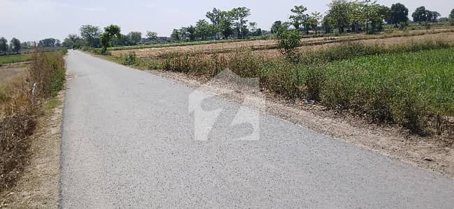 برکی روڈ کینٹ,لاہور میں 24 کنال زرعی زمین 4.83 کروڑ میں برائے فروخت۔