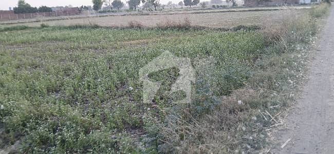 Prime location 16 Acor Open Land For sale apposite DHA Phase 7 Y Block Carpeted road Direct Access