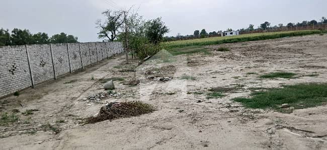 برکی روڈ کینٹ,لاہور میں 24 کنال زرعی زمین 5.75 کروڑ میں برائے فروخت۔