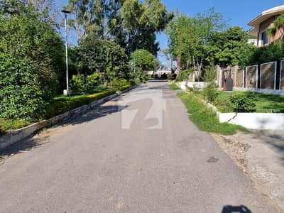 Plot For Sale