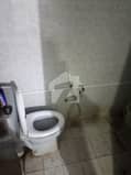 6 6